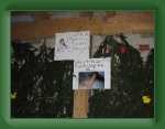 IMG_0377 * 2048 x 1536 * (861KB)